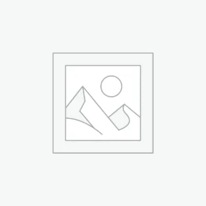 Stylish Premium Handbags